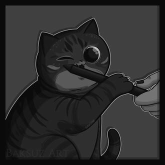 pen nomcher